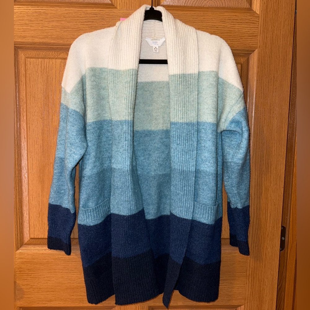 Time and True Striped Cardigan Sweater - Blue and Cream